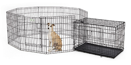 great dane crate size
